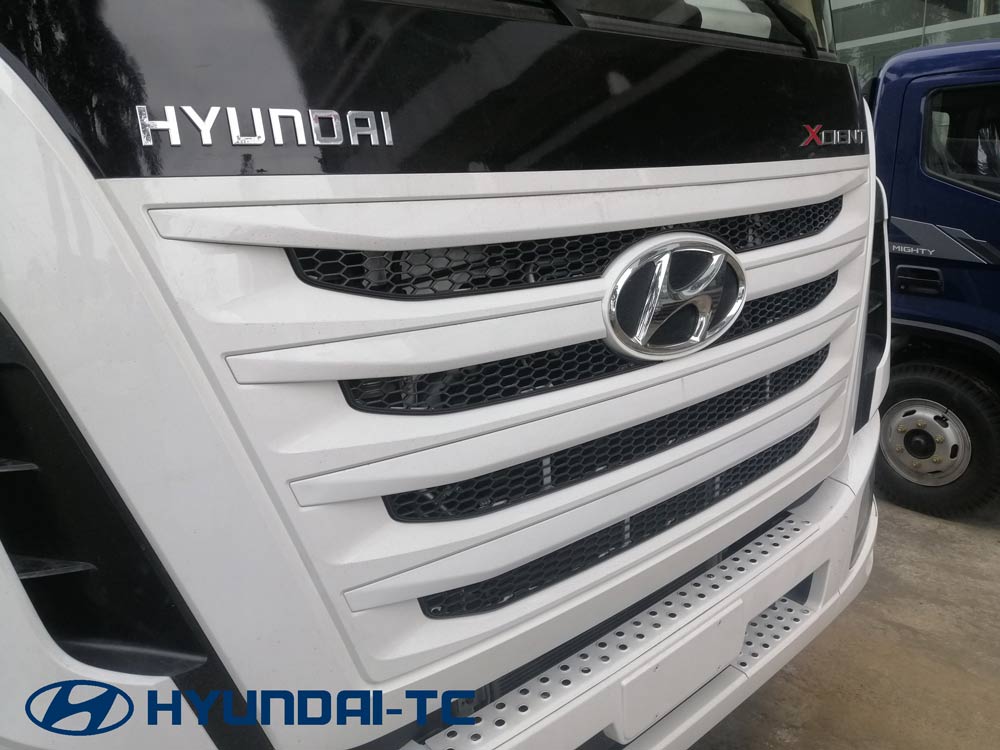 mat_ga_lang_xe_dau_keo_xcient